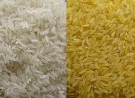 Pakistan-Basmati-Parboiled.jpg