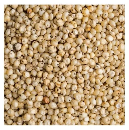 Best Prices on Organic IQF Frozen Red and White Sorghum Flour Grains with 24 Month Shelf Life From France