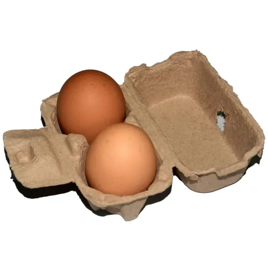 Wholesale Disposable Corrugated Highend Pulp Egg Cartons Paper Pulp Egg 2cells Tray For Egg