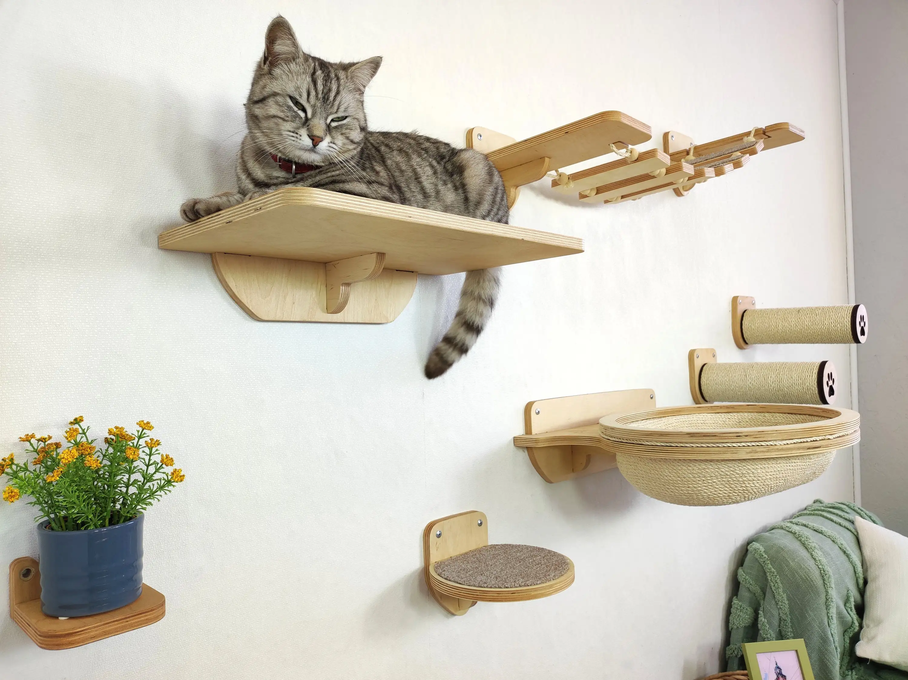 Hostk Customized Cat Wall Shelves Wall Furniture For Pet Cats Bamboo ...