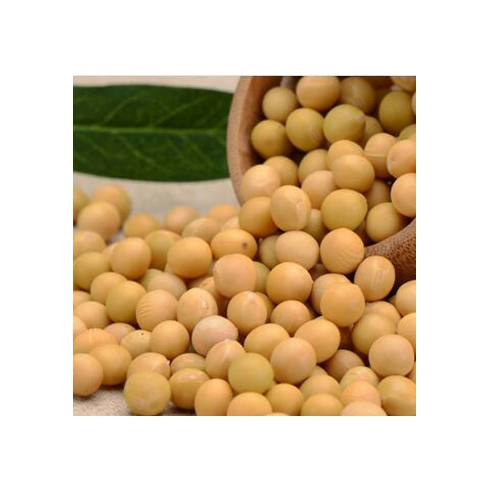 Gmo And Non Gmo Soyabean/soybean For Sale Soybeans Soya Soja Bean