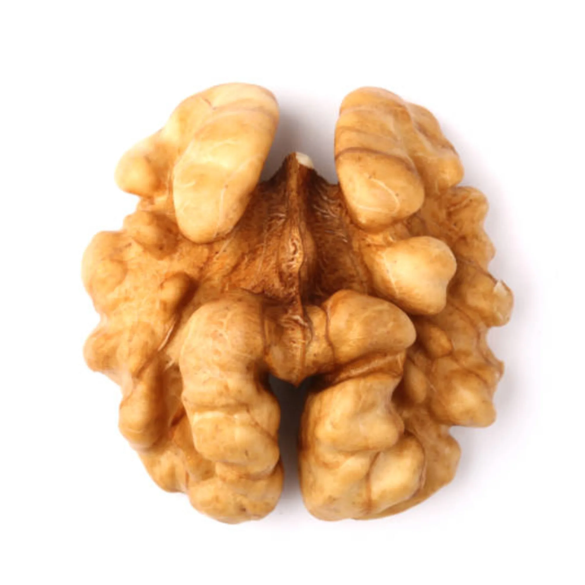 2024 Walnuts Best Seller Manufacturer Wholesale Premium Organic Walnuts in shell Turkey walnut kernel for sale