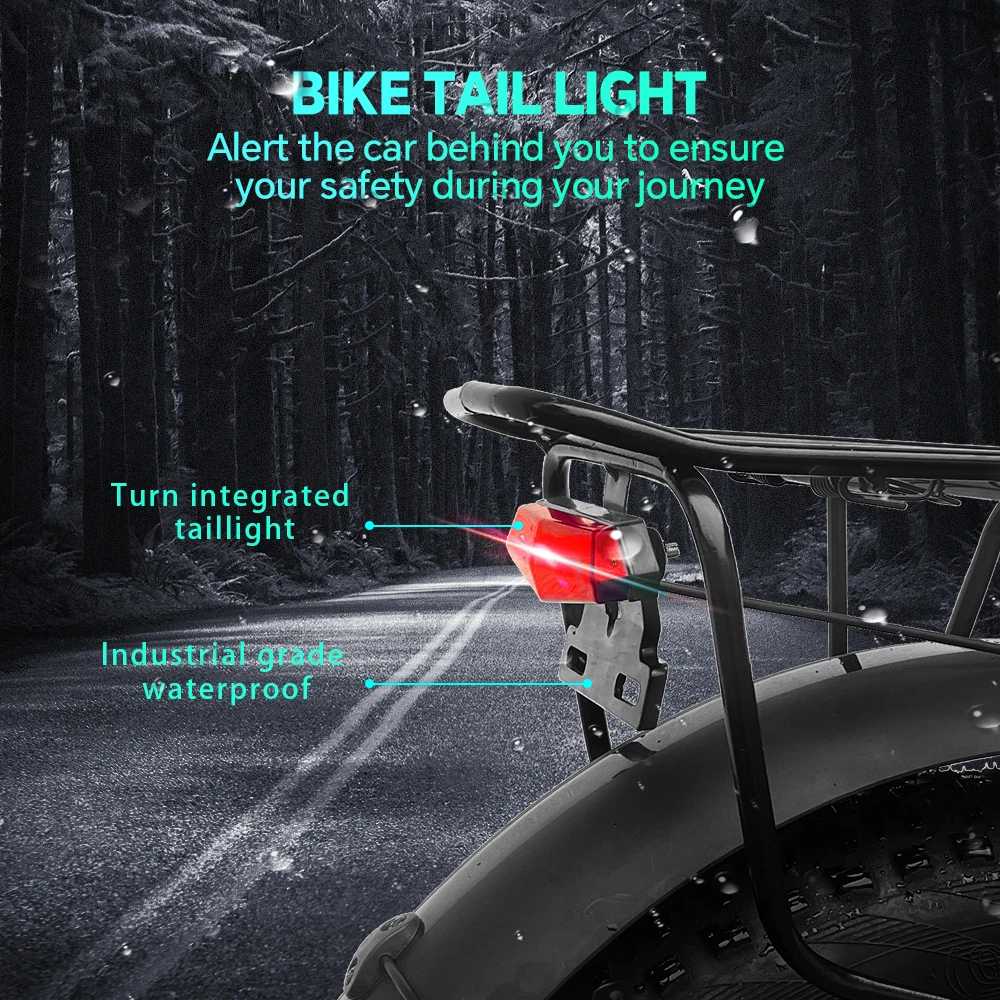 DrVetion At20 Black-Gray Electric Fat Bike 48V 750W up to 45km/h with 10AH/15AH/20AH Motor Options