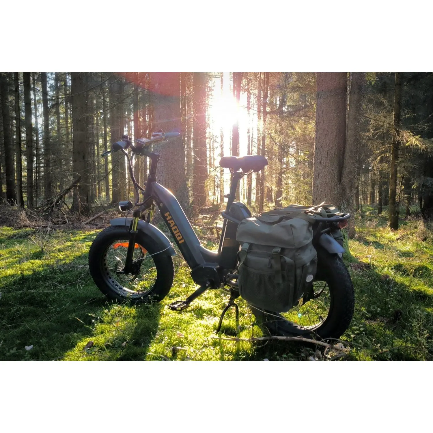 HAOQl 2.0 Antelope Dual-Akku Elektro-Lastenrad mit Lasten für den Stadtverkehr