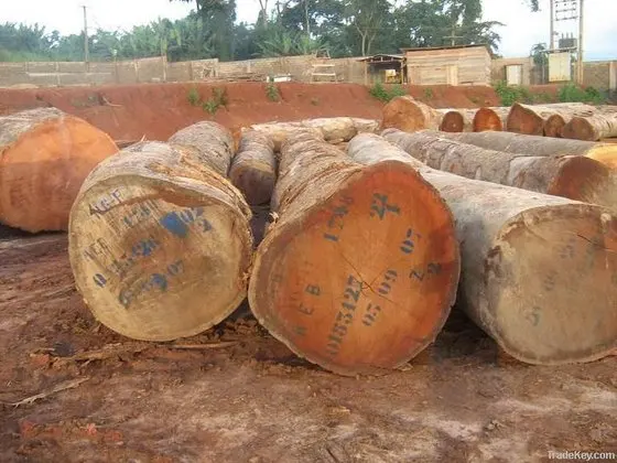 Wood.jpg