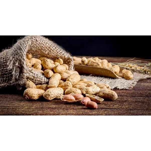 Raw Peanuts Without Shell Halal Certificate New Crop Blanched Peanuts Peeled Groundnuts - Buy Red ...