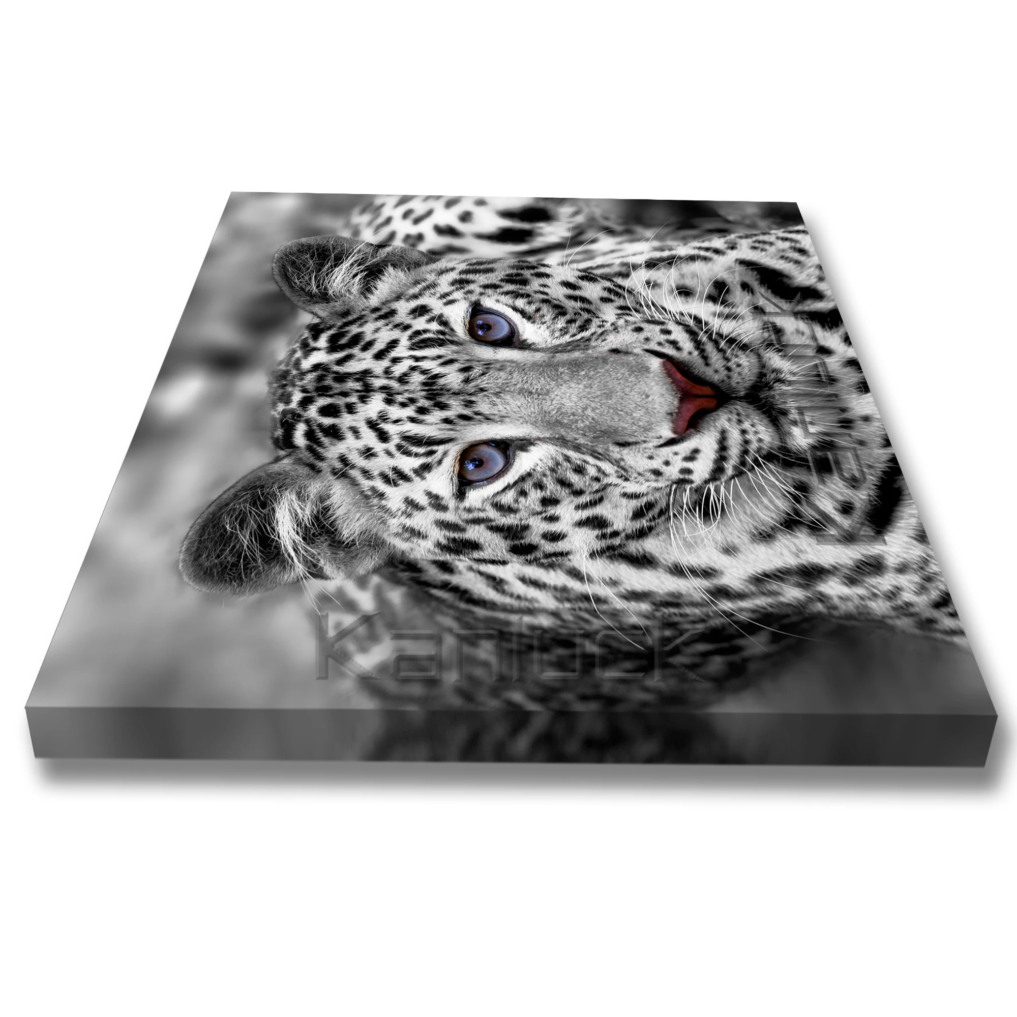 Black And White Africa Animal Leopard Canvas Printing Painting Wall Art