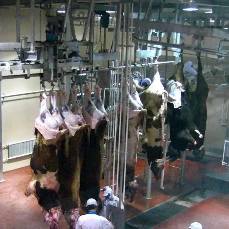 Fully automatic cattle slaughtering machine for beef processing and slaughterhouse production lines