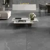 SCORPIAN GRAY WINTEL