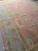 Multicolor