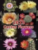 Cactus verde 2019