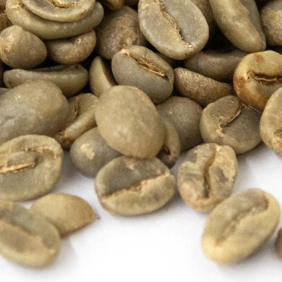 Superior Arabica Coffee Beans Washed Process Green Coffee Beans for Sale - Green Coffee Bean