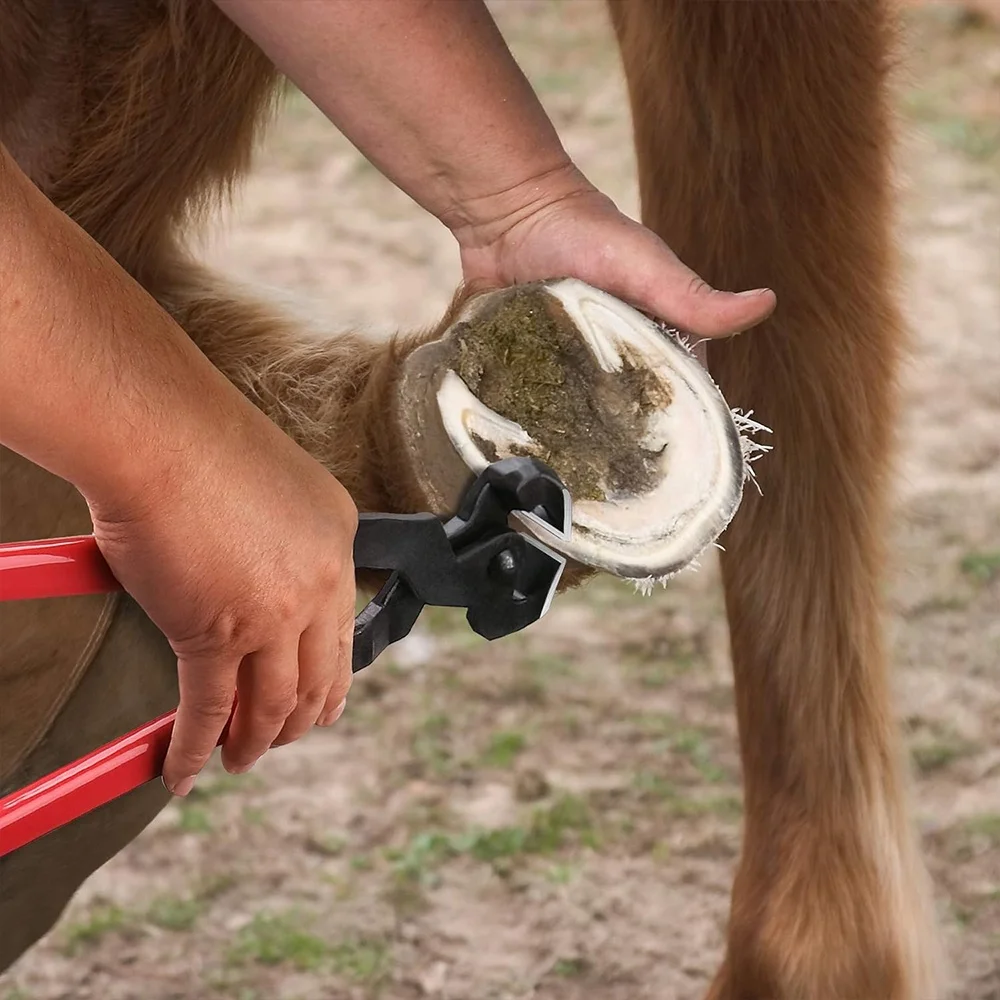 Professional Farrier Tool Kits Hoof Rasp Hoof Nippers Hoof Knife 3 in 1 for Farriers, Veterinarians, and Horsemen Ariston
