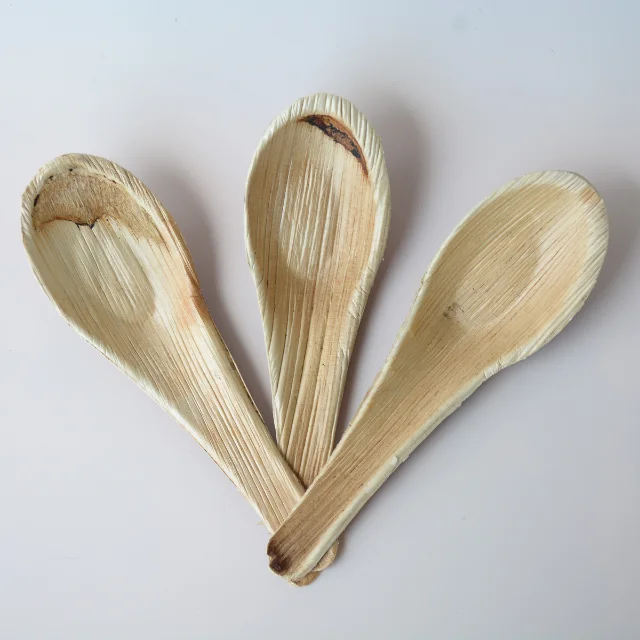 High Quality Palm Leaf Spoon Material Natural Biodegradable Convenience ...