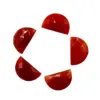 Same as Image