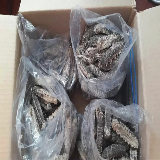 High Quality Dried Sea Cucumber For Sale Buy Dried Sea Cucumber Price Of Dried Sea Cucumber