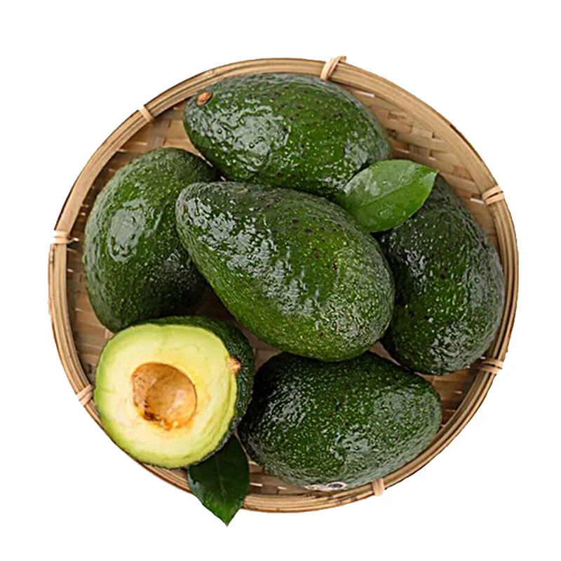 High Quality Fresh Fruit Avocados Available for Sale at Low Price