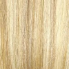 Extra Light Blonde to Honey