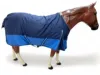 Navy Blue/ Dark SkyBlue