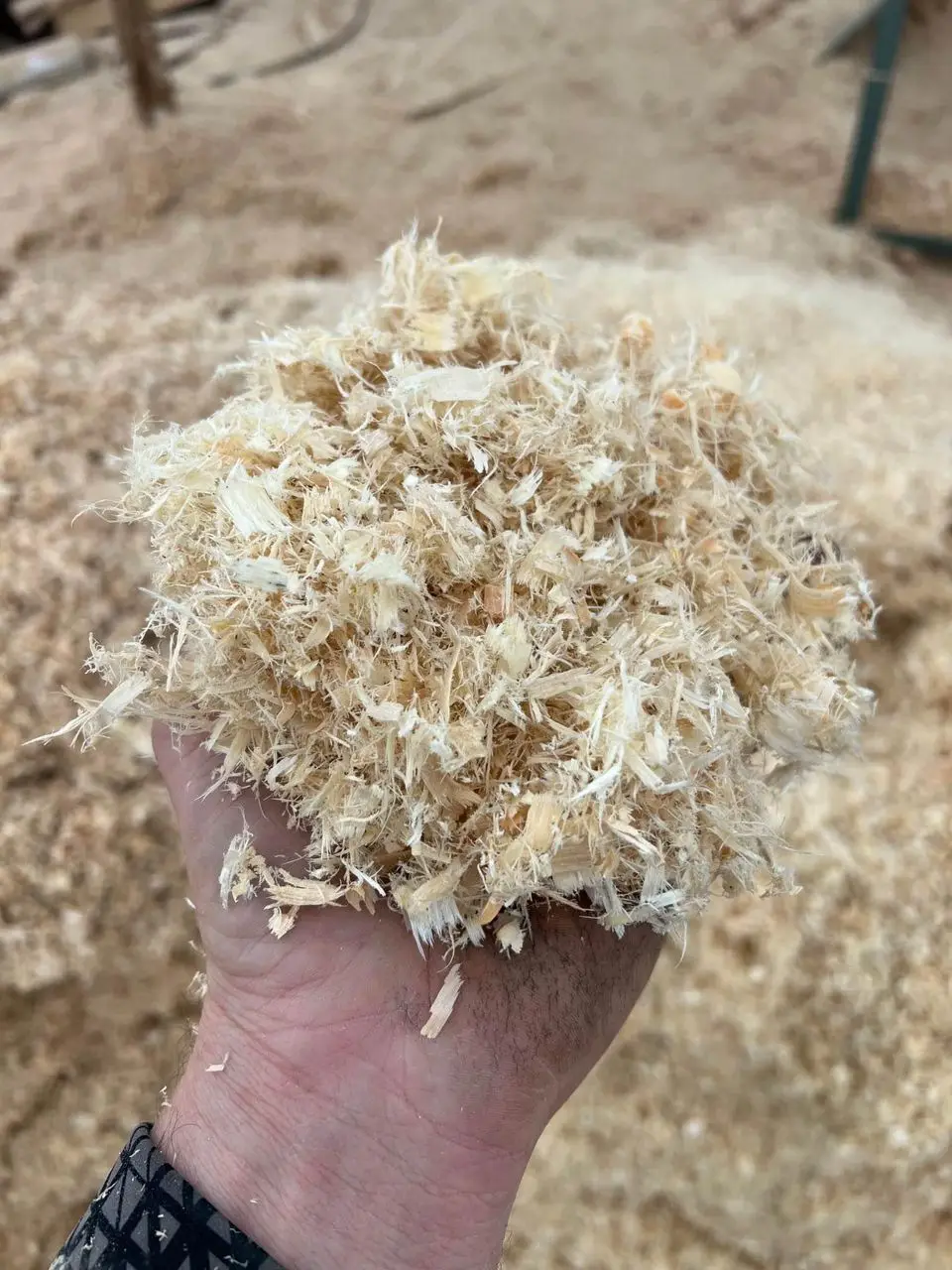 Wood Shavings/pine Wood Shaving For Animal Bedding/shavings. Buy Hot