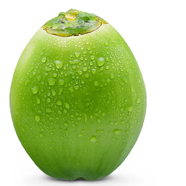 11 (2).png