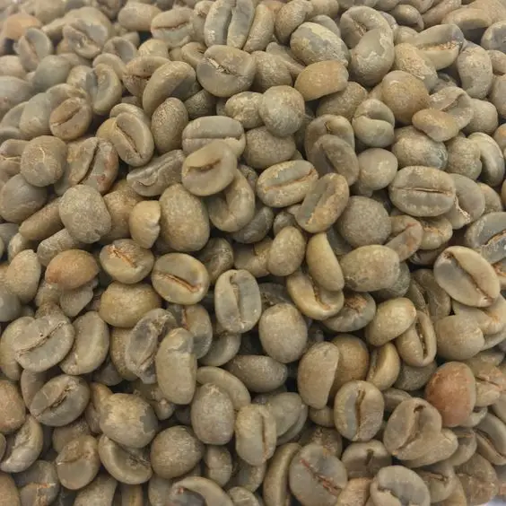 Hot sale green Robusta coffee beans