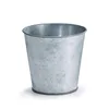 Galvanized