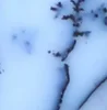 As Per Image