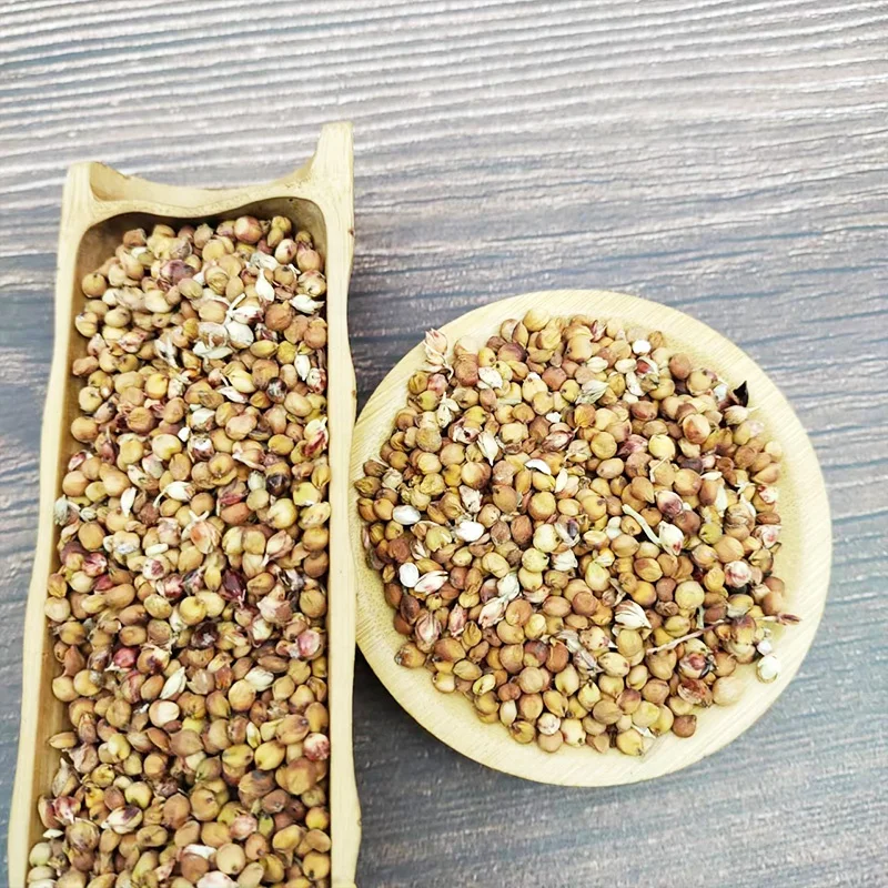 Sorghum White Milo Sorghum Grains Sorghum Price Per Ton For Wholesale ...