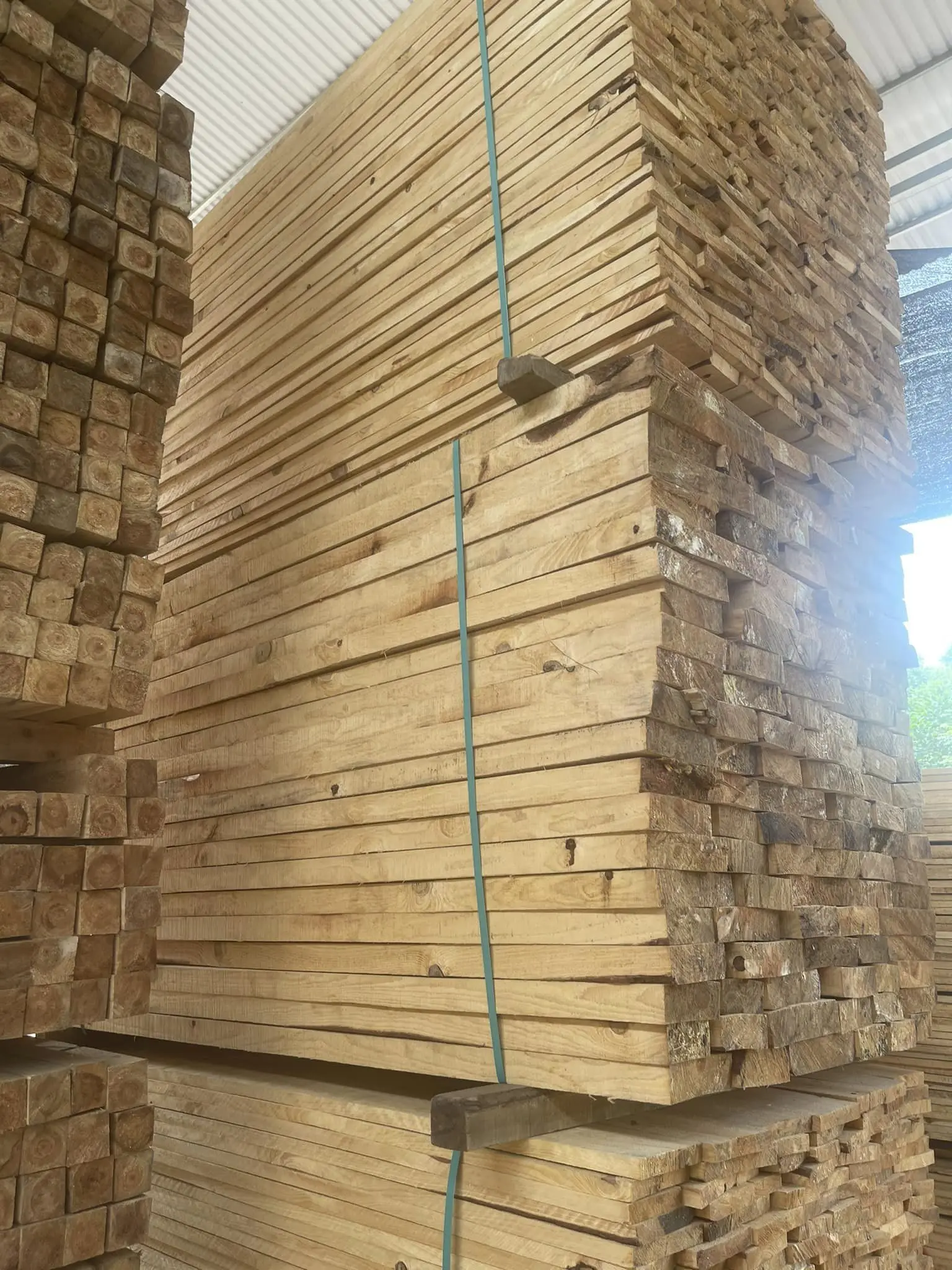 Top Ranking Pine Wood Timber Lumber For Wholesale Construction Natural ...