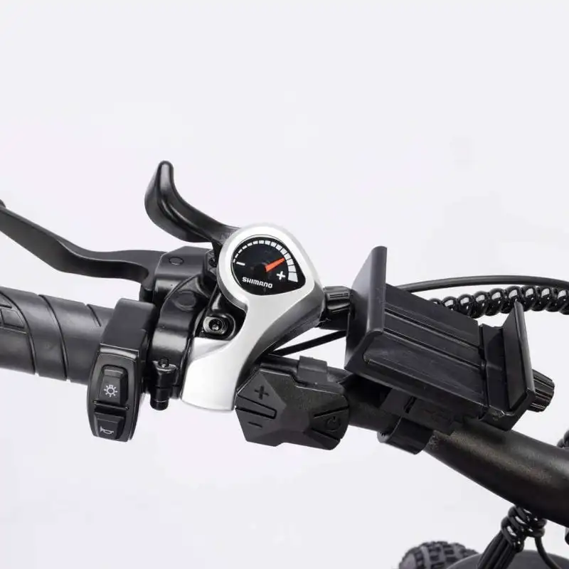 RIDSTAR H26 Pro 26 Fat Tire Electric Foldable Bike with 1000W Motor and 48V 23Ah Lithium Battery Power Supply