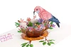 As pic