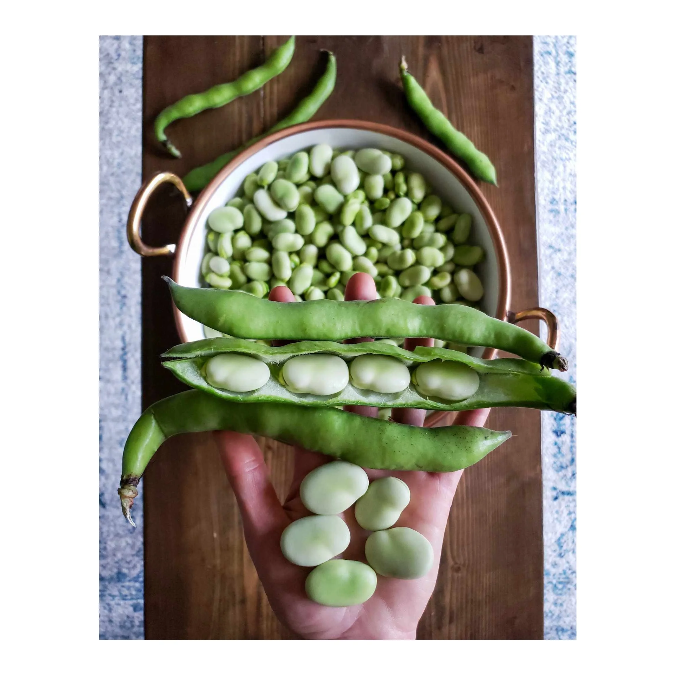 Fava из гороха go Vegan