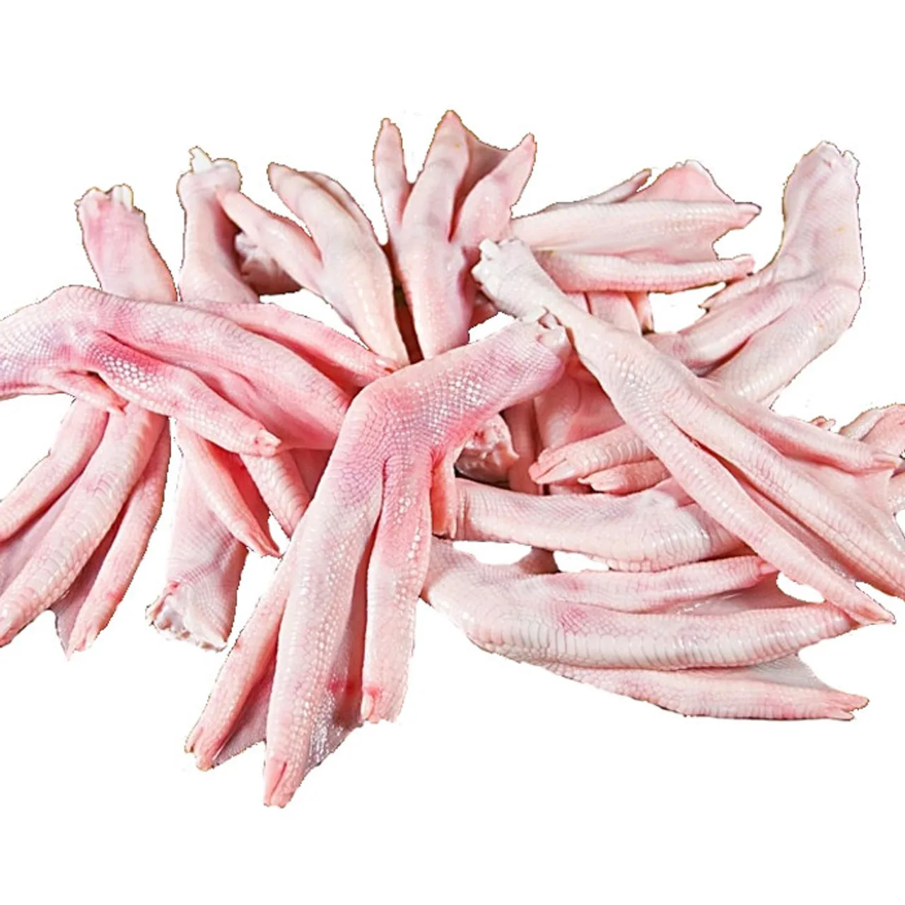 Высококачественные Замороженные утиные лапки/утиная лапа/утиные ножки по низкой цене на