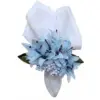 Ice Blue