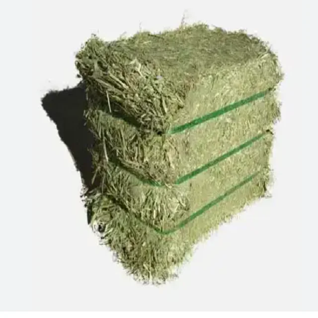 Bulk ALFAFA HAY READY for SUPPLY/ Alfalfa hay with High Protein for Animal Feeding in Bulk