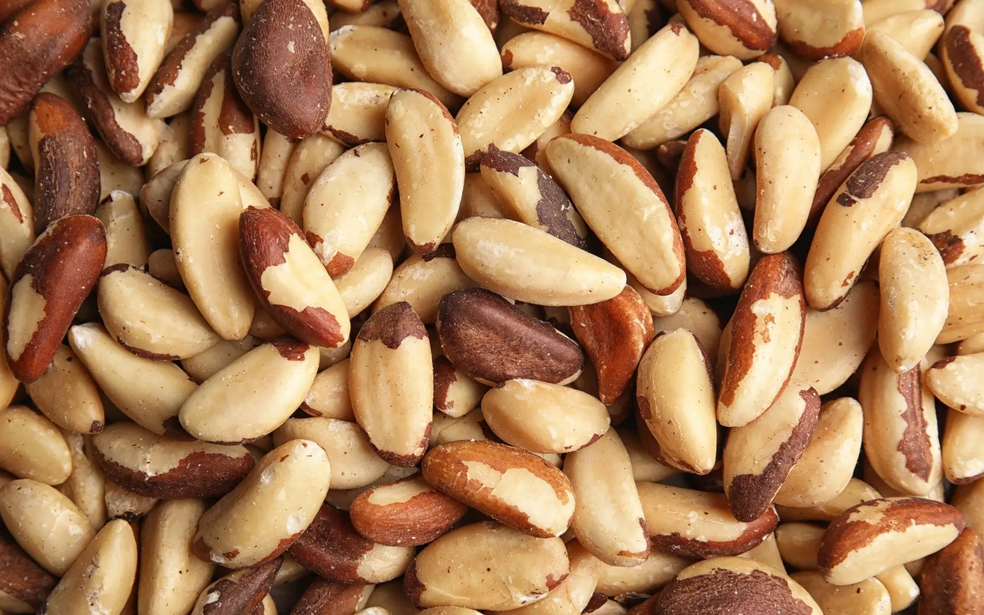 100 Pure Natural High Quality Brazil Nuts Wholesale. Buy Organic