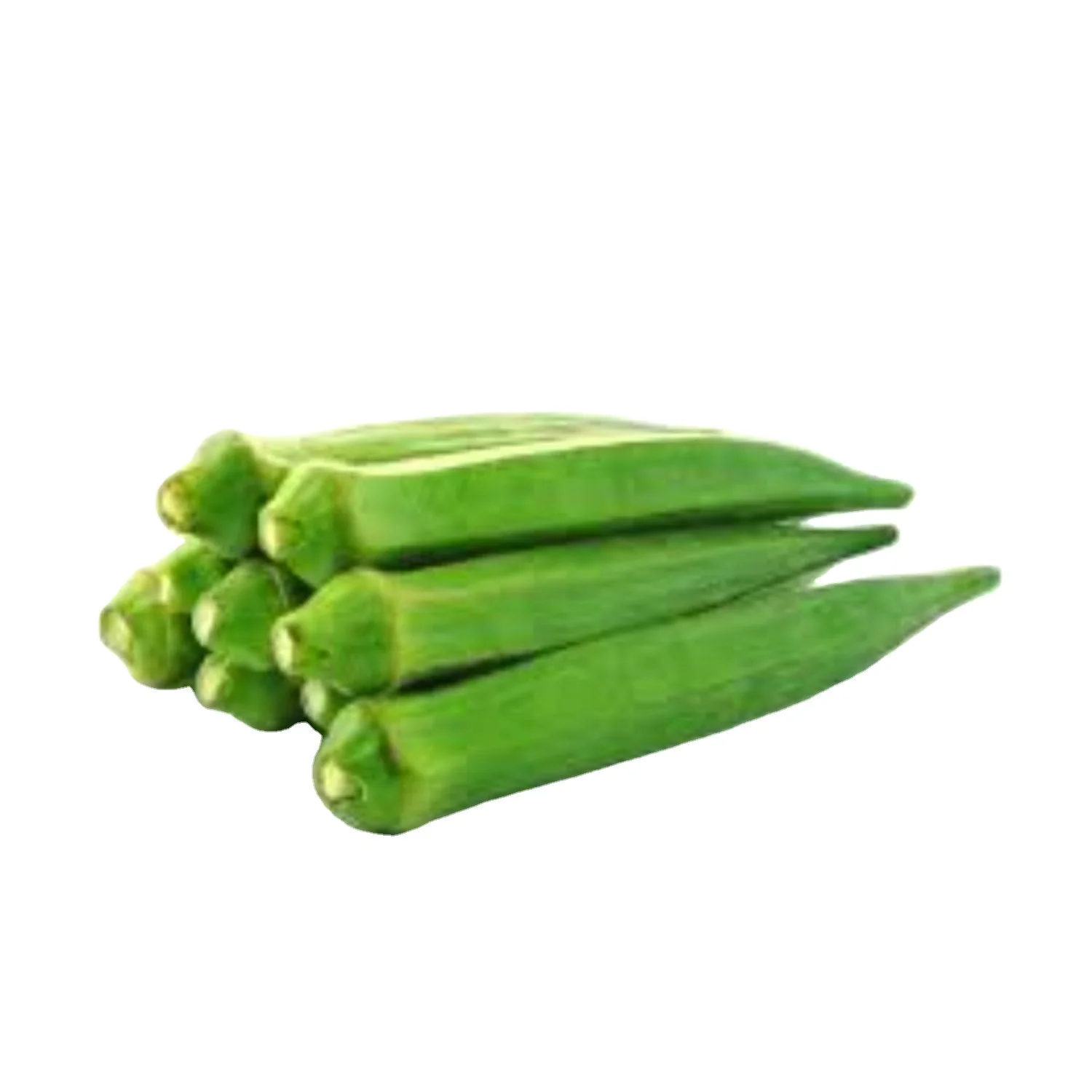 Открытый опылитель Okra Pusa Sawani / Okro (Op) Verity для