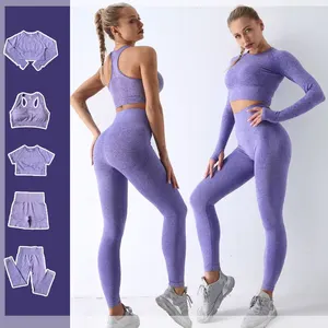 Lady Sports Seamless Athletic Leggings Set Women Fitness Workout Clothing Gym Activewear Long Sleeve Active Wear Yoga Set