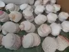 ธรรมชาติ