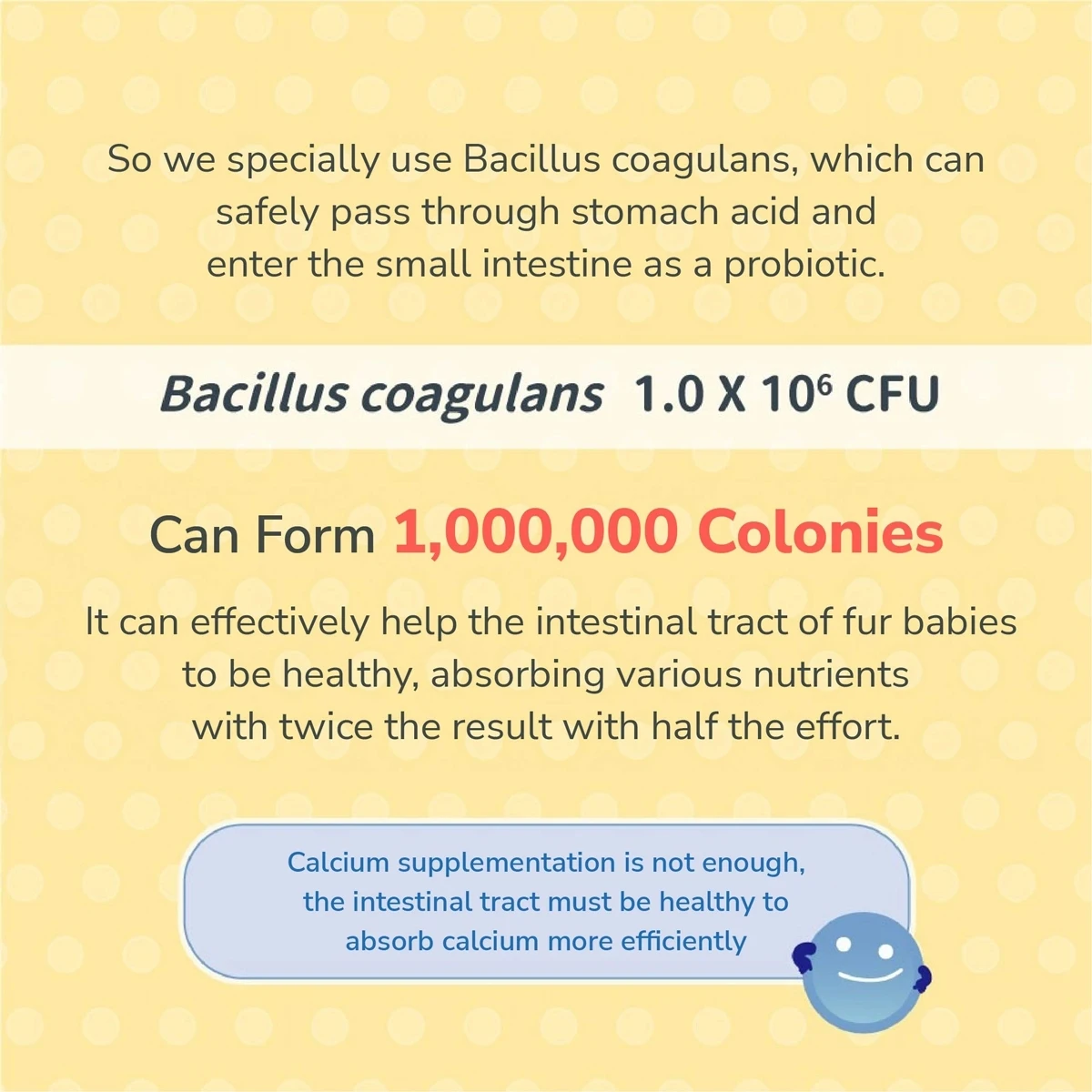 Dog Calcium Old Dogs Calcium Supplement Tooth Development Puppy Dog