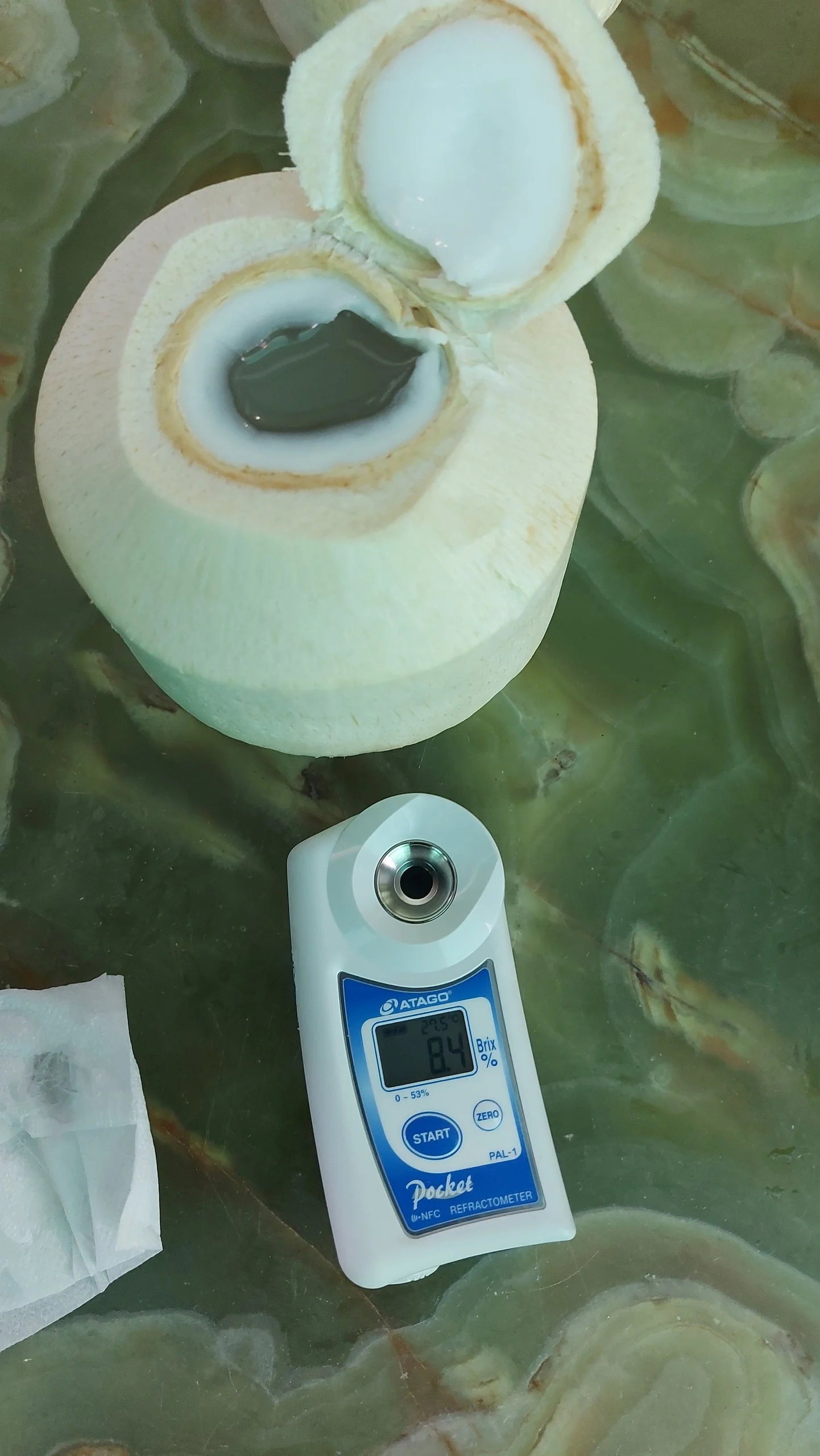 Свежий зеленый молодой кокосовый кокос высшего качества Лучшая цена кокос для оптовых продаж сделано в Бен Тре, Вьетнам