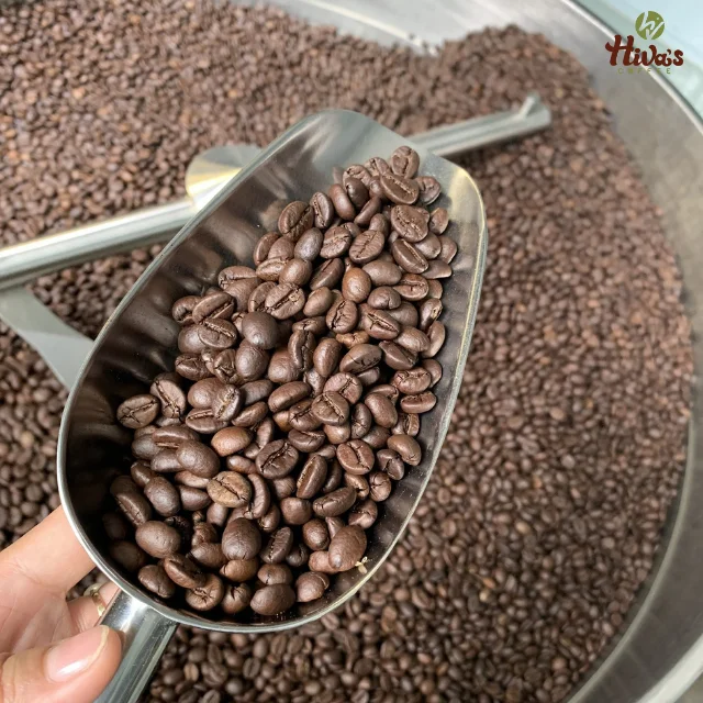 Good Price Roasted Coffee Beans Viet Nam Hiva's Coffee 100% Pure Robusta 0.25kg Medium Roasted Chocolate Accept OEM FRESH COFFEE