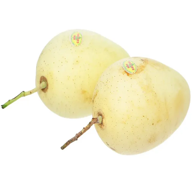 0100 (6).png