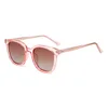 C6 : Dégradé rose/marron