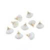 Rainbow Moonstone
