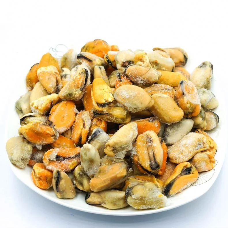 Frozen Seafood Mussel Half Shell Mussel Buy Best Quality Hot Sale