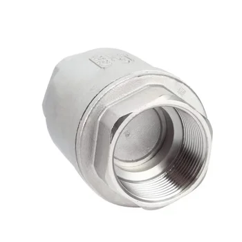 Hot Sale 3/4'' Stainless Steel SS304 Female Spring Loaded Air Vertical Check Valve