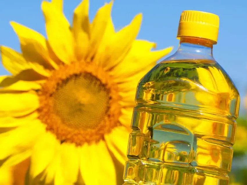 Sunflower Oil 4L Manufacturer from Turkey High Quality Delicious taste cooking oil Turkish quality