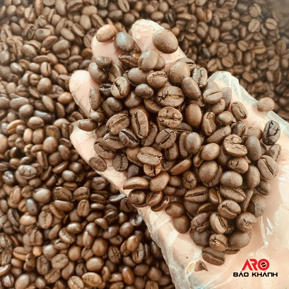 Good Price Roasted Coffee Beans Viet Nam Hiva's Coffee 100% Pure Robusta 0.25kg Medium Roasted Chocolate Accept OEM FRESH COFFEE